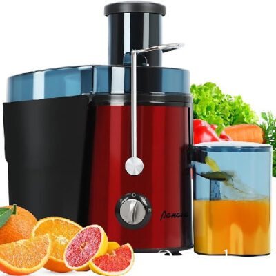 Hoffmans 1200W Stainless Steel Juice Extractor (HM-621)- Ch776