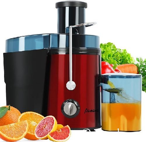 Hoffmans 1200W Stainless Steel Juice Extractor (HM-621)- Ch776